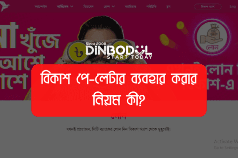 বিকাশ পে-লেটার ব্যবহার করার নিয়ম কী?